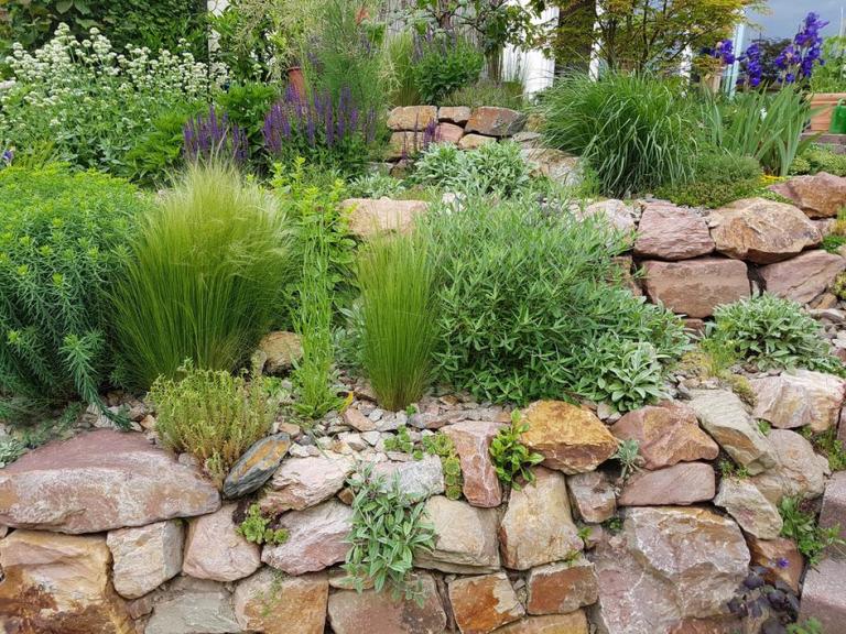 Conception paysagère à Sarreinsming, créez votre jardin idéal